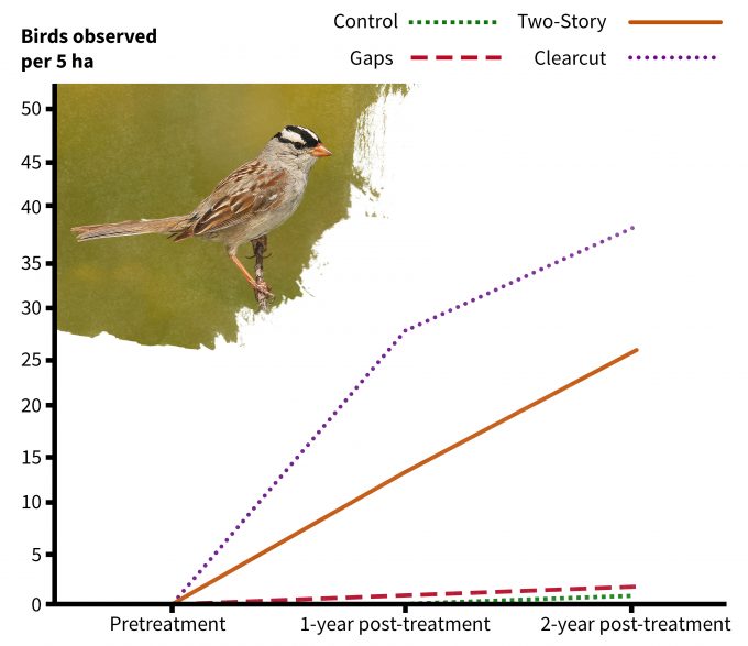 Figure 5.5. Change in white-crowned sparrow detections following silvicultural treatments illustrating cause and effect monitoring results (redrafted from Chambers et al. 1999). Photo by Wolfgang Wander and published under creative commons.