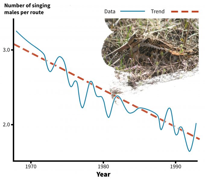 Figure 5.9. Long term trends of numbers of American woodcock observed on singing grounds in the eastern US, 1968-1995 (redrafted from Bruggink and Kendall 1995). Photo by guizmo_68 and published under creative commons.