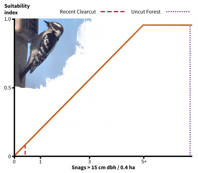 Figure 9.7. Habitat suitability relationship for downy woodpeckers for one of two suitability indices: snag density. Redrafted from Schroeder (1982).
