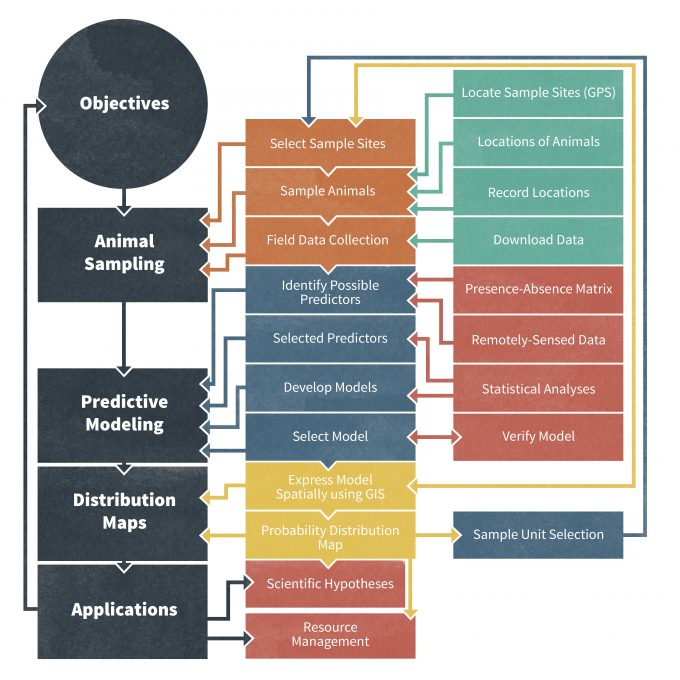 Figure 10.1. A flowchart of an integrated framework for using GPS and PDA technology (boxes with grey background) for collecting monitoring information. By collecting monitoring data in a real-time, digital format these data can be used for more sophisticated purposes such as species distribution mapping that we describe. Tasks highlighted in bold indicate the places in which advanced methods can provide increased accuracy, and boxes with grey background indicate the places in which digital methods provide a reduction in costs (time or money). Figure redrafted from Traviani (2007).
