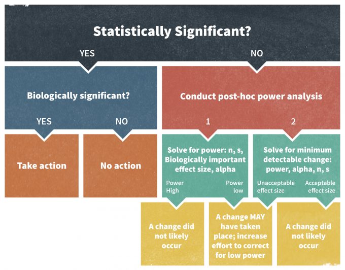 Figure 11.6. A decision process to evaluate the significance of a statistical test (redrafted from Elzinga et al. 2001).