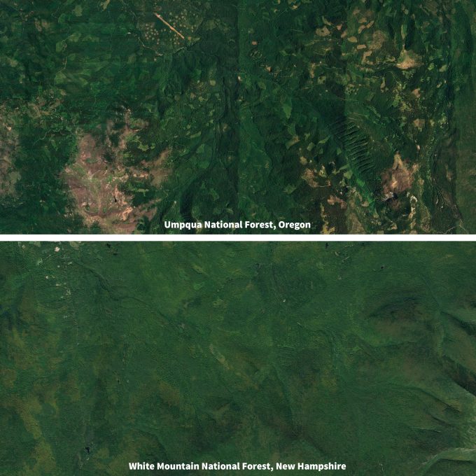 Figure 12.2. Air photos of the Umpqua National Forest, Oregon (top) and the White Mountain National Forest, New Hampshire (bottom) illustrating the level anthropogenic disturbance in each area. Although the lower image seems to show less impact, regenerating patch cuts are scattered throughout the scene. If two similar monitoring programs were implemented in these two locales, the context, both in terms of geographic location and anthropogenic disturbance, would likely result in two significantly different programs on the ground. Figures captured from Google Earth.