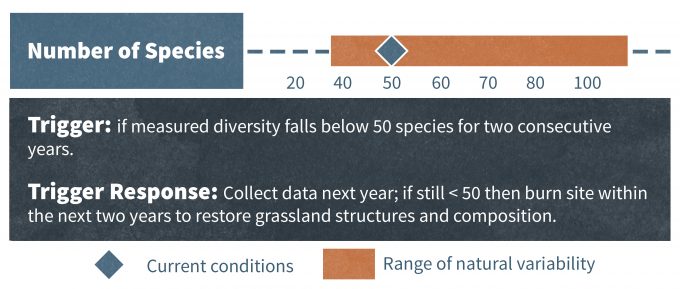 Figure 12.7. A monitoring ‘scorecard’ in which the current species diversity in a hypothetical grassland is assessed against a ‘desired’ range for that parameter Redrafted from McDonnell and Williams (2000) as modified from Hobbs and Norton (1996).