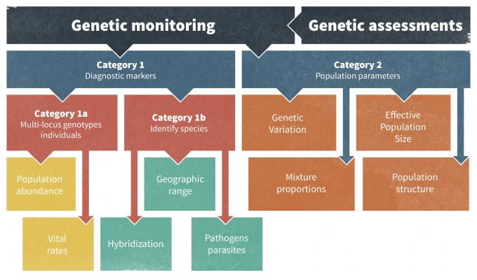 Figura 13.2. Ejemplos de monitoreo genético y los tipos de información que se pueden obtener de estas técnicas. Figura reredactada de Schwartz et al. (2007).