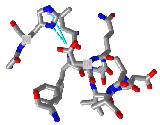 Asp 70 (D70) in T4 Lysoszyme_2B6Z.png