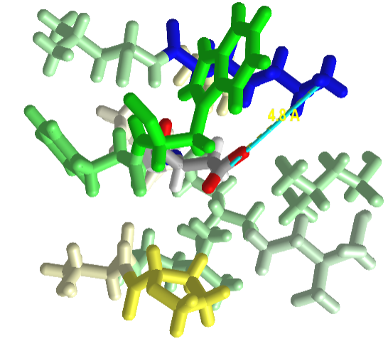 Asp 26 (D26) in E. Coli thioredoxin5hr2.png