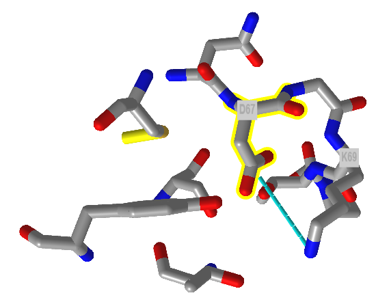 Asp67 -Lys 69_SaltBridge_ humanlysozyme (1REX).png