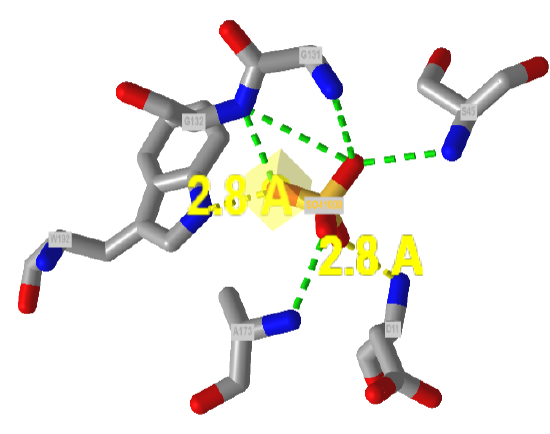sulfate bound to sulfate binding protein from Salmonella typhimurium (1sbp).png
