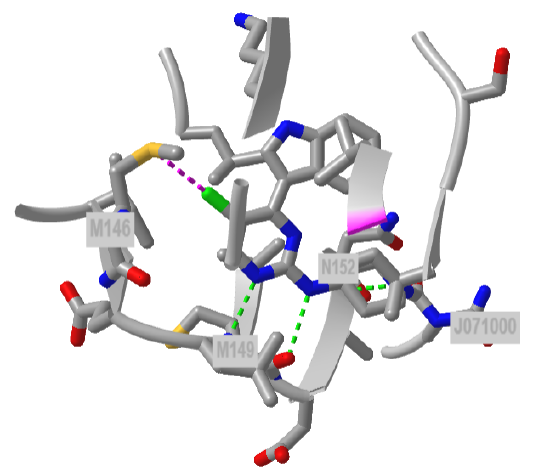 haloaminopyrimidine inhibitor c-Jun N-Terminal Kinase (JNK) protein (2P33).png