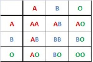 Una tabla que muestra las diferentes combinaciones del sistema de grupos sanguíneos ABO.