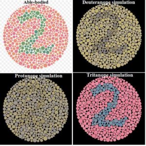 Una prueba de daltonismo con una imagen del número 2. Incluye simulaciones de cómo se vería a los espectadores con tres tipos diferentes de daltonismo.