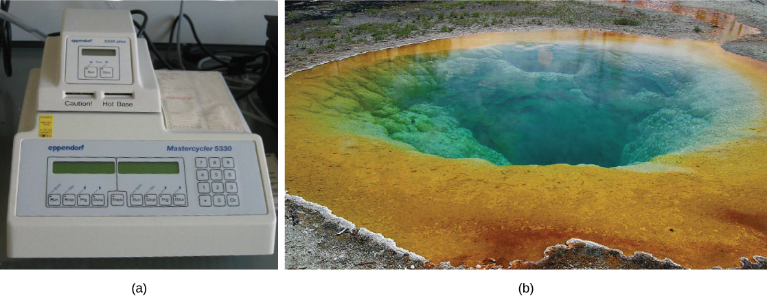 En la parte A, una máquina de PCR se sienta sobre un escritorio. Tiene una pantalla digital en la parte frontal y botones, y “precaución, base caliente” está escrito en la parte frontal. La parte B muestra una fuente termal en Yellowstone.