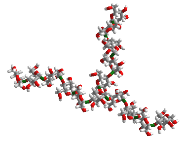 α-(1,4) linked glucose with an α-(1,6) branch.png