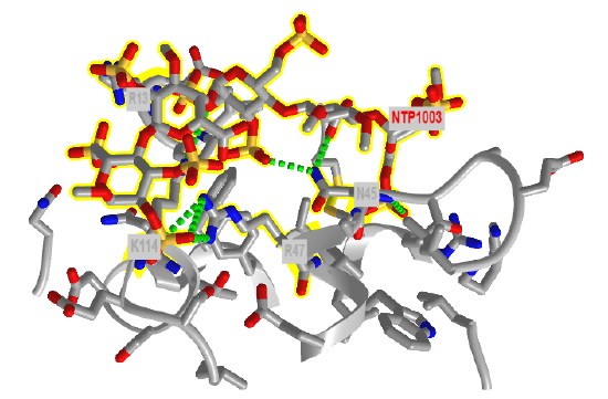 https://bio.libretexts.org/Learning_Objects/Visualizations_and_Simulations/Biochemistry-iCn3D_Models/Carbohydrates_and_Glycobiology/Heparin_5mer_-_Antithrombin_III_complex_(1NQ9)