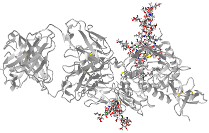 GP120 HIV protein with high mannose, complex and hybrid N-linked glycans.png
