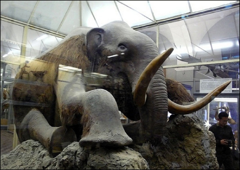 La foto (b) muestra a un mamut de peluche sentado en una vitrina de museo.