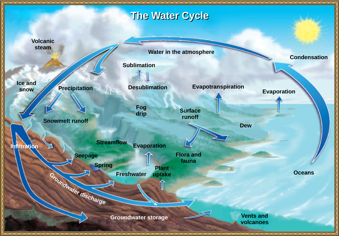 La ilustración muestra el ciclo del agua. El agua ingresa a la atmósfera a través de evaporación, evapotranspiración, sublimación y vapor volcánico. La condensación en la atmósfera convierte el vapor de agua en nubes. El agua de la atmósfera regresa a la Tierra por precipitación o dessublimación. Parte de esta agua se infiltra en el suelo para convertirse en agua subterránea. Las filtraciones, los manantiales de agua dulce y la absorción de plantas devuelven parte de esta agua a la superficie. El agua restante se filtra en los océanos. El agua superficial restante ingresa a arroyos y lagos de agua dulce, donde finalmente ingresa al océano a través de la escorrentía superficial. Parte del agua también ingresa al océano a través de respiraderos submarinos o volcanes.