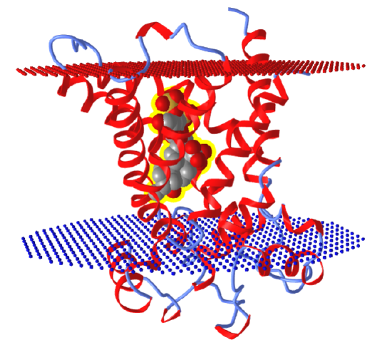 Bovine mitochondrial ADP-ATP carrier protein (1okc).png