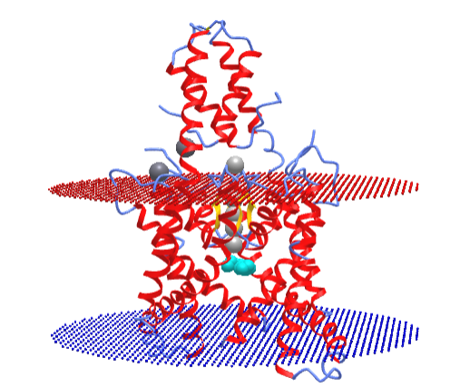TRAAK channel protein  in the closed state (4wff).png