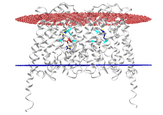 inward open human monocarboxylate transporter 2 (7BP3).png
