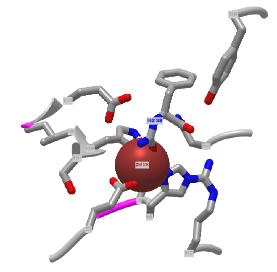 Bovine carboxypeptidase A inhibitor aminocarbonylphenylalanine (1HDU).png