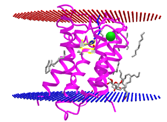 Rhomboid intramembrane protease GlpG 4QO2.png