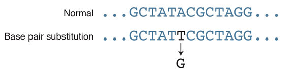 Normal muestra GCTATA... y así sucesivamente. La sustitución de pares de bases muestra GCTATT, con la T convirtiéndose en G.