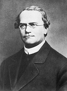 foto en blanco y negro de Gregor Mendel, un hombre blanco con gafas.
