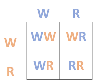 Conjunto cuadrado de Punnett que muestra una cruz WR x WR.