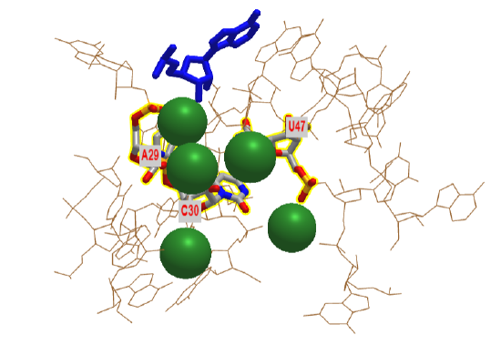 ClassIRNALigaseRibozyme_substrate_3r1l.png