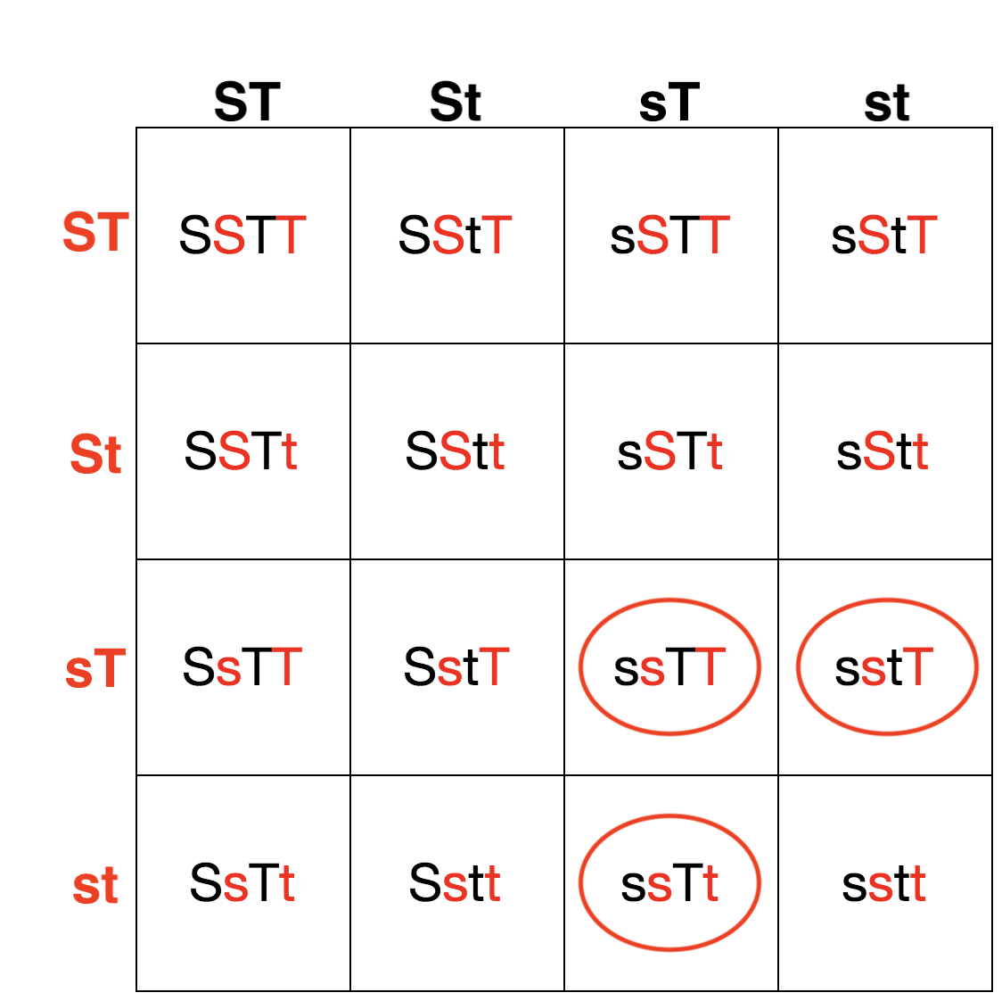 Configuración cuadrada de Punnett dihíbrida que muestra proporciones de genotipos de un cruce de SstT x SstT