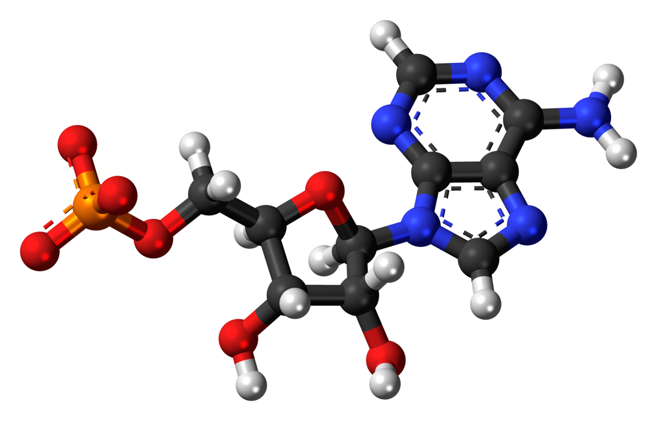 Nucleic Acid Structure
