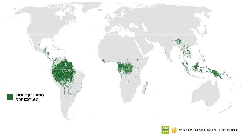 tropical-extent-indicator-primary-forest-loss (3).png