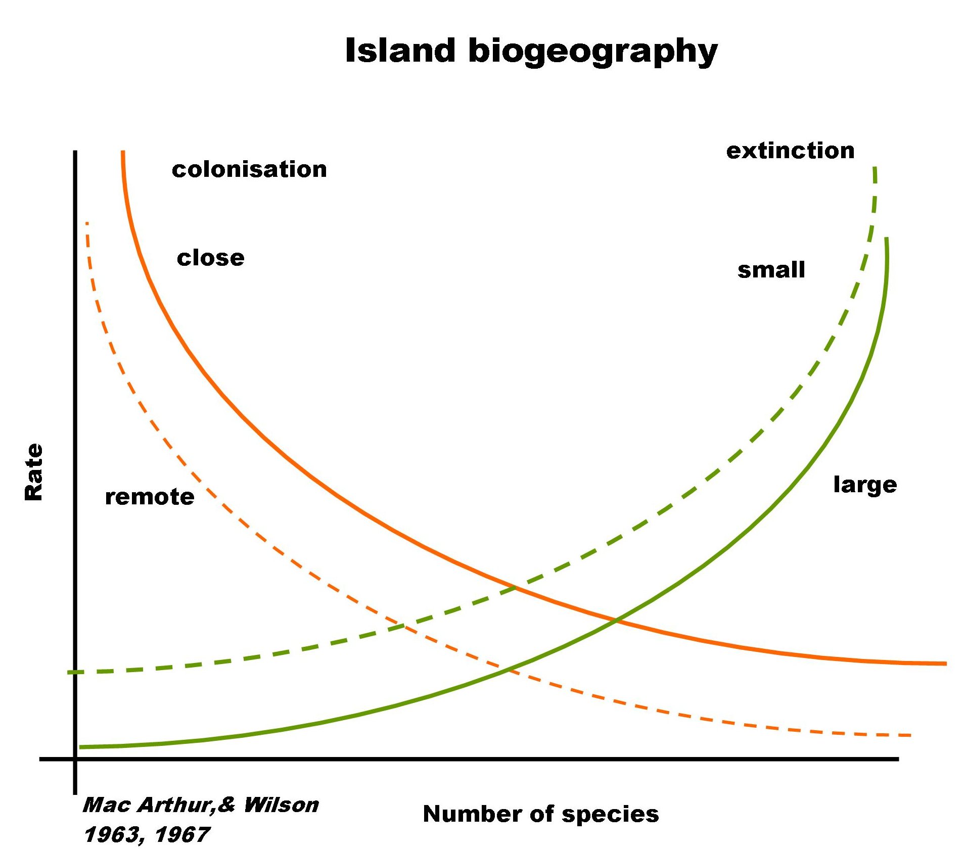 Graph depicting island biogeography model where extinction rate is plotted against species richness and island size.