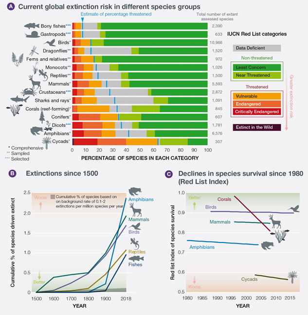 extinction trends 2019 IPBES report data from IUCN redlist.png