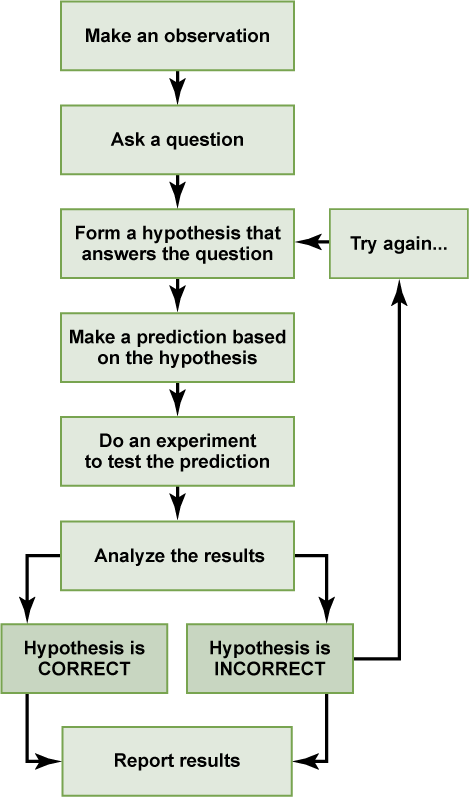 A flow chart shows the steps in the scientific method. In step 1, an observation is made. In step 2, a question is asked about the observation. In step 3, an answer to the question, called a hypothesis, is proposed. In step 4, a prediction is made based on the hypothesis. In step 5, an experiment is done to test the prediction. In step 6, the results are analyzed to determine whether or not the hypothesis is correct. If the hypothesis is incorrect, another hypothesis is made. In either case, the results are reported.