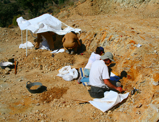 Photo depicts scientist digging fossils out of the dirt.