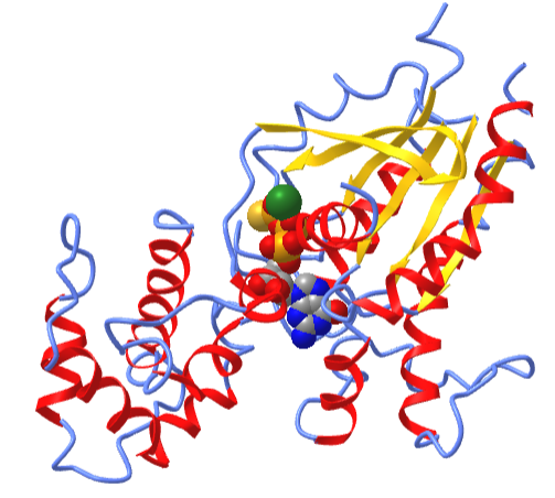 adenylyl cyclase activator Gsalpha with GTP-gamma-S  (1azt).png
