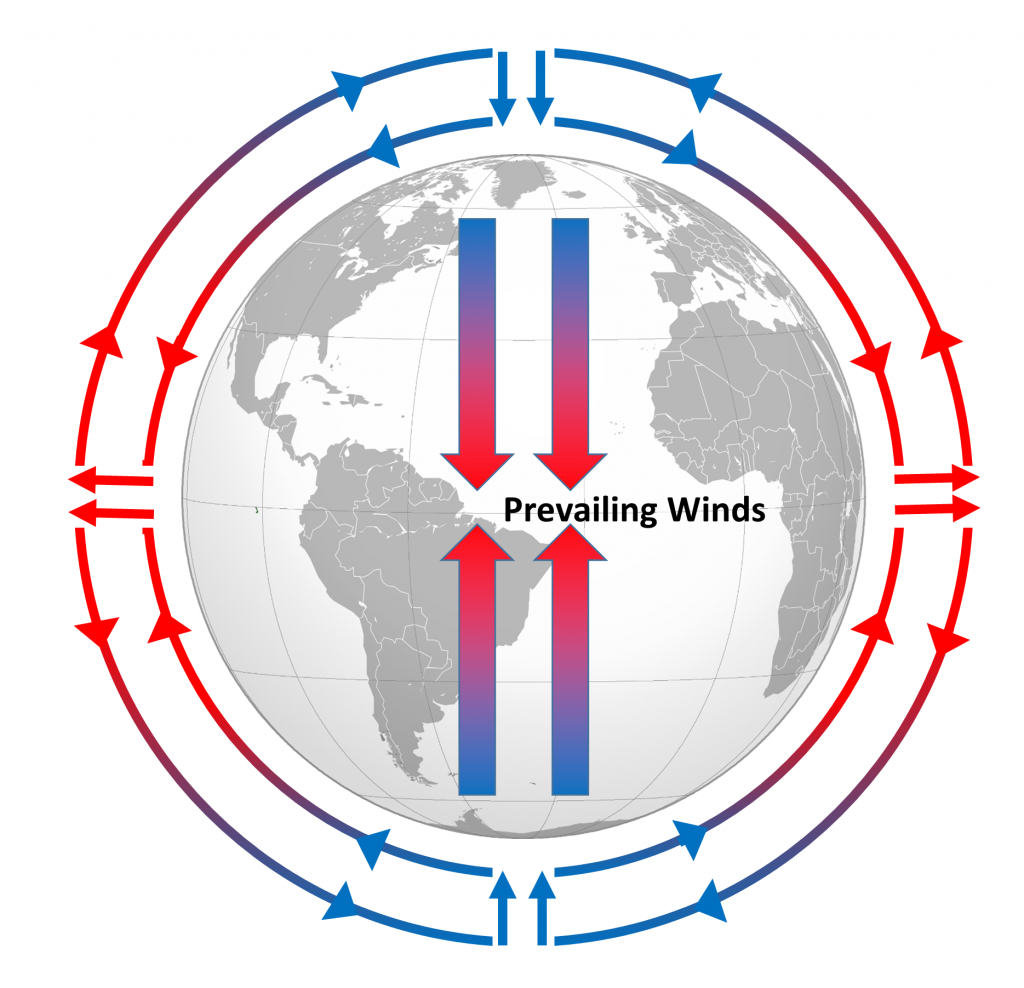 This diagram shows Earth with arrows representing atmospheric convection cells. The arrows are colored blue and red to indicate where air is heated and cooled. 