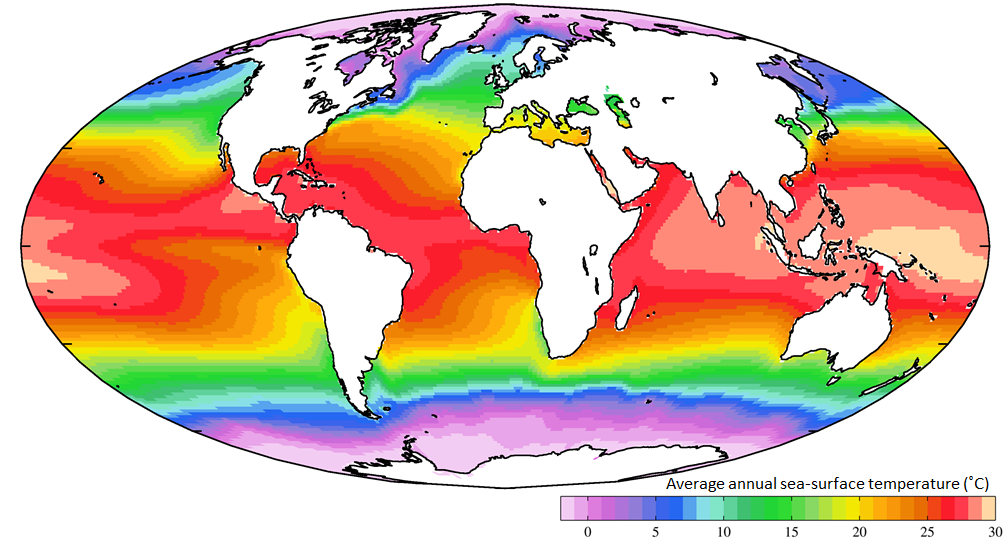 This map of the earth is shaded in vibrant colors. In the bottom righthand corner, a numerical scale shows how each color represents a range of average annual sea surface temperature values. Temperature is in celsius. Temperature values are highest at the equator and decrease as you move toward the poles. 