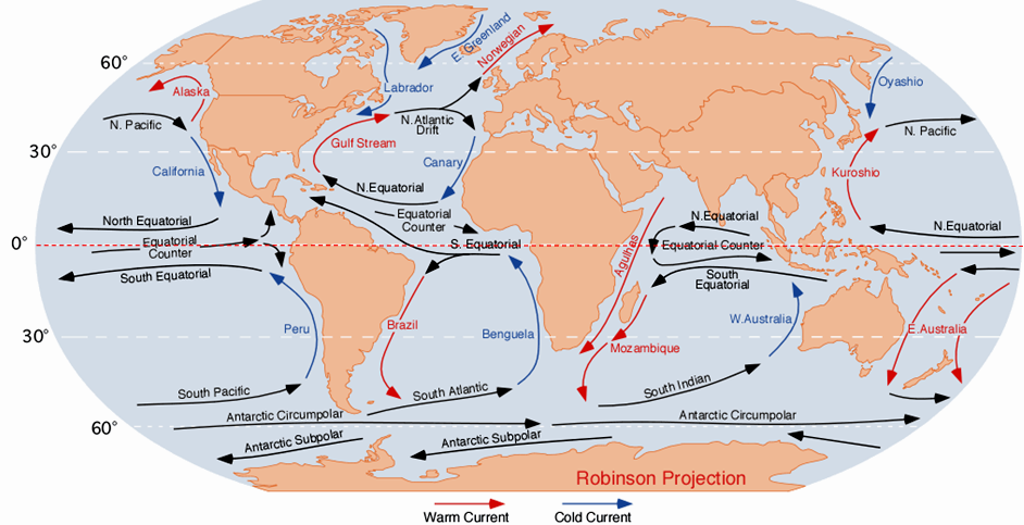 This map of the earth features arrows representing the main open ocean currents across the world. Each arrow is labeled with the name of the current. A red arrow is a warm current and a blue arrow is a cold current. 