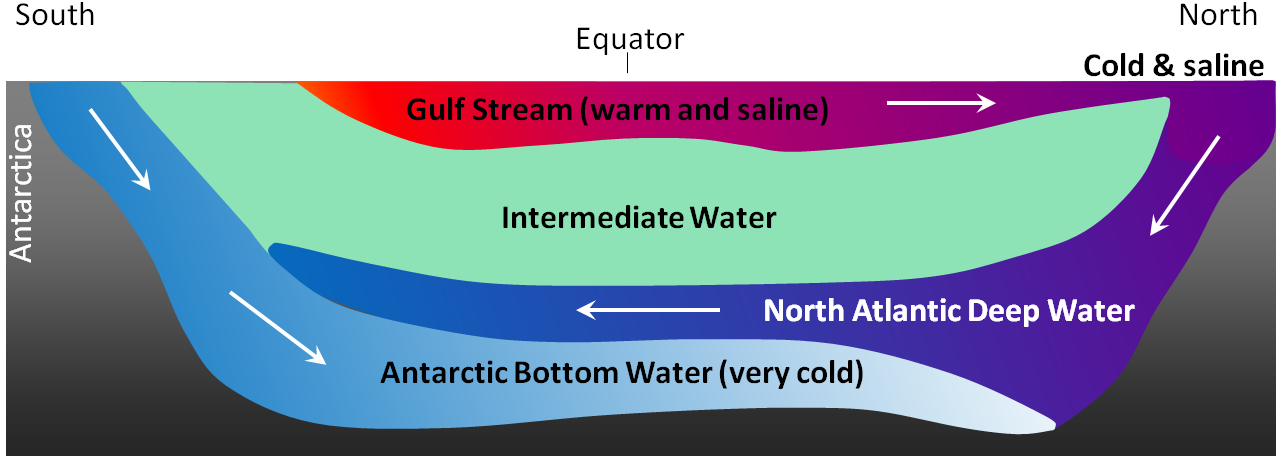 This illustrated cross-section of the Atlantic basin shows the north-south movement of water. Blobs of water are differentiated with color, and arrows indicate their direction of movement. From the surface down, the water sections include the Gulf Stream, Intermediate Water, North Atlantic Deep Water, and Antarctic Bottom Water. 
