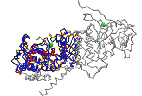 Alignment of the PKA kinase domain (1J3H A chain) and the EGFR kinase domain (2GS6).png