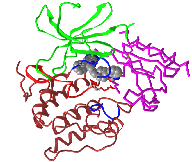AKT bound to a novel allosteric inhibitor (3o96)2.png