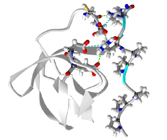 Grb2 N-terminal SH3 domain _ proline-rich peptide SOS (1GBQ).png