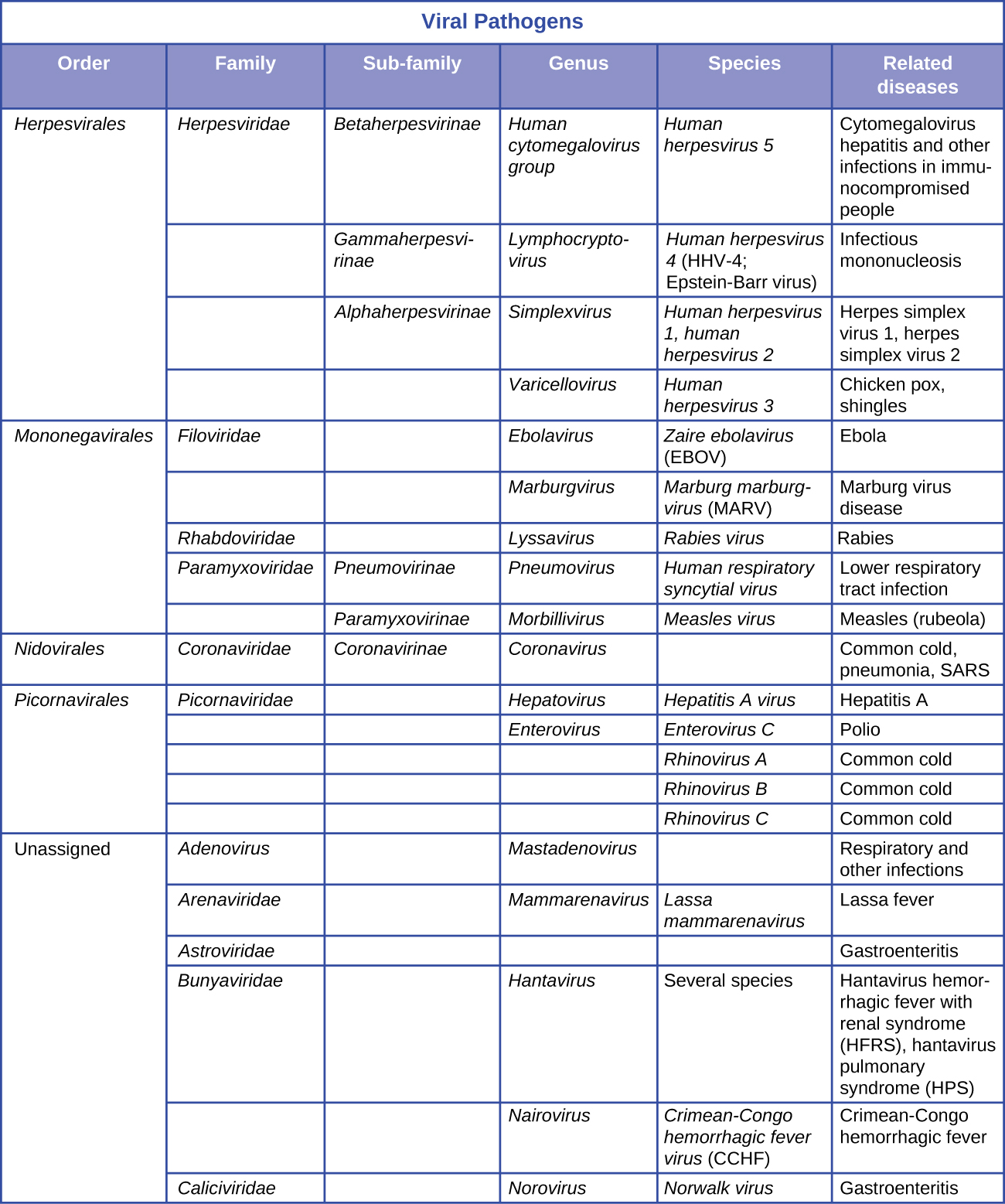 A table titled “Viral Pathogens” gives information on order, family, subfamily, genus, species, and related diseases. For order Herpesvirales, family herpesviridae, subfamily betaherpesvirinae, genus human cytomegalovirus group, species human herpesvirus 5, the related disease is Cytomegalovirus hepatitis and other infections in immunocompromised people. For order herpesvirales, family herpesviridae, subfamily gammaherpesvirinae, genus lymphocryptovirus, species human herpesvirus 4(HHV-4; Epstein-Barr virus), the related disease is infectious mononucleosis. For order Herpesvirales, family herpesviridae, subfamily alphaherpesvirinae, genus simplexvirus, species human herpesvirus 1, human herpesvirus 2, the related diseases are herpes simplex virus 1, herpes simplex virus 2. For order herpesvirales, family herpesviridae, subfamily alphaherpesvirinae, genus varicellovirus, species human herpesvirus 3, the related diseases chickenpox, shingles. For order mononegavirales, family filoviridae, subfamily alphaherpesvirinae, genus ebolavirus, species zaire ebolavirus (EBOV), the related disease is Ebola. For order mononegavirales, family filoviridae, genus marburgvirus, species Marburg marburgvirus (MARV), the related disease is Marburg virus disease. For order mononegavirales, family rhabdoviridae, genus lyssavirus, species rabies virus, the related disease is Rabies. For order mononegavirales, family paramyxoviridae, subfamily pneumovirinae, genus pneumovirus, species human respiratory syncytial virus, the related disease is lower respiratory tract infection. For order mononegavirales, family paramyxoviridae, subfamily paramyxovirinae, genus morbillivirus, species measles virus, the related disease is measles (rubeola). For order Nidovirales, family coronaviridae, subfamily coronavirinae, genus coronavirus, the related diseases are common cold, pneumonia, SARS. For order picornavirales, family picornaviridae, genus hepatovirus, species hepatitis A virus, the related disease is hepatitis A. For order picornavirales, family picornaviridae, genus enterovirus, species enterovirus C, the related disease is polio. For order picornavirales, family picornaviridae, genus enterovirus, species rhinovirus A, the related disease is common cold. For order picornavirales, family picornaviridae, genus enterovirus, species rhinovirus B, the related disease is common cold. For order picornavirales, family picornaviridae, genus enterovirus, species rhinovirus C, the related disease is common cold. The remaining entries in this table are unassigned in the order category. In the family adenovirus, genus mastadenovirus, the related diseases are respiratory and other infections. In the family arenaviridae, genus mammarenavirus, species lassa mammarenavirus, the related disease is Lassa fever. For the family astroviridae, the related disease is gastroenteritis. For the family bunyaviridae, genus hantavirus, species several species, the related diseases are hantavirus hemorrhagic fever with renal syndrome (HFRS), hantavirus pulmonary syndrome (HPS). For family Bunyaviridae, genus nairovirus, species Crimean-congo hemorrhagic fever virus (CCHF), the related disease is Crimean-Congo hemorrhagic fever. For the family caliciviridae, genus norovirus, species Norwalk virus, the related disease is gastroenteritis.