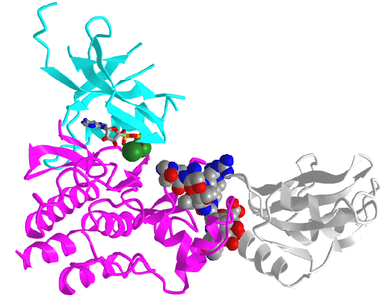 SOCS1 in complex with JAK1 kinase domain (6C7Y).png