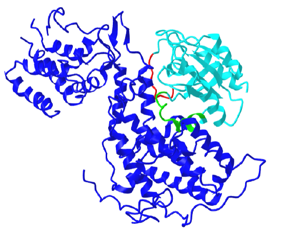 Ras and SOS (a GEF) complex (1bkd).png