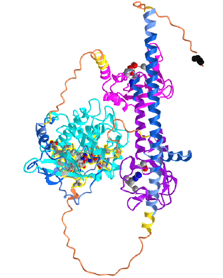 cGMP-dependent protein kinase 2 -AlphaFold-Q13237.png