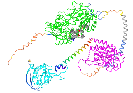 Atrial natriuretic peptide receptor 1 AlphaFold.png